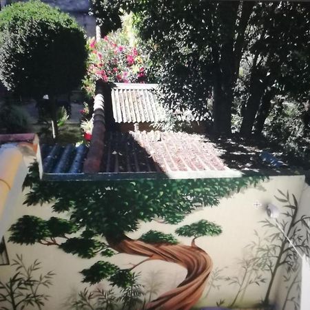 Suite Volupte Classee 3 Etoiles Avec Vue Sur Jardin, Climatisation Μονπελιέ Εξωτερικό φωτογραφία